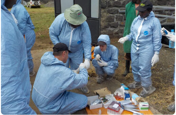 مبادرة تطوعية توفر فحوصات مجانية للمناطق النائية مبادرة تطوعية توفر فحوصات مجانية للمناطق النائية